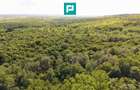 TEREN AGRICOL EXTRAVILAN  22.900 MP LIPOVA - 17