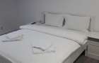 Apartament 4 camere, 3 dormitoare separate cu baie proprie Hala Traian, studenti - 10