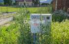 Teren de vanzare Alexandru cel Bun 20.000 Euro 735mp - 5