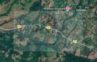 Teren extravilan de vânzare 11.740 mp Corbeni Turburea Argeș - 1
