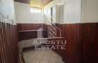 Casa de vanzare in Sandra, 5755 mp, teren, acoperis nou - 4
