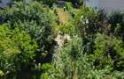 Casă tip duplex de vânzare, 181 mp, zona Săsar - 5