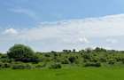 Teren Extravilan de Vanzare, zona Episcopia, Oradea, judetul Bihor - 2