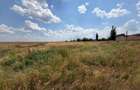 Teren 9.976 mp cu proiect aprobat parc fotovoltaic 1,4 MW, Bucovăț - 3