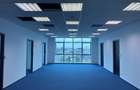Splaiul Unirii 313- Vitan - birouri premium - 6