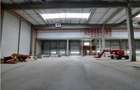 Spatiu Industrial - 5300 mp - Logistica - Productie - Depozitare - Distributie - 1