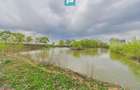 Teren 1 ha cu baltă populată – Alioș (Mașloc) - 2
