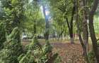 Apartament 2 camere de inchiriat zona Alexandru OBREGIA - 6