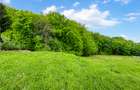 Teren intravilan de vanzare, 3900 mp , front 36 ml,  Faget - 3