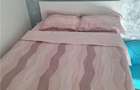 Apartament 1 Copou- Negruzzi- 450 euro - 6