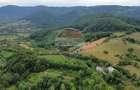 Teren 5600mp | Copalnic-Manastur TOATE UTILITATILE PE PROPRIETATE - 3