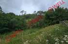 De vânzare teren extravilan loc. Sărămaș, com. Barcani - 3
