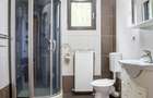 Vila spatioasa pt doua familii 10 camere Clinceni Monumentul Eroilor - 22