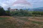 Teren 5,700mp Somcuta Mare / investitie cu potential major - 12