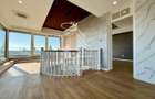 Penthouse exclusivist pe 2 nivele, cu 4 camere, zona Take Ionescu - 2