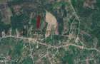 Sapient | Teren intravilan în Săldăbagiu de Munte 4.316 mp - 6