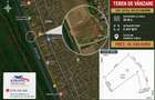 Teren cu deschidere la canal în Letea – 2.557 mp | Delta Dunării | - 1