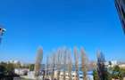 Apartament 2 camere | zona Aviatorii - 13
