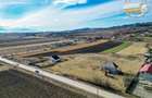 Proprietate remarcabila: 32.000mp teren, acces direct DJ112,Ilieni,Covasna - 5