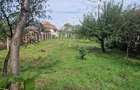 Casa de Vanzare | Zona A Ocna Mureș - 3