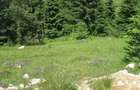 TEREN INTRAVILAN DE VANZARE | COMUNA FUNDATA | FUNDATICA | BRASOV - 2