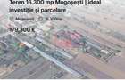 Teren 16.300 mp Mogoșești | ideal investiție și parcelare - 1