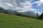 Teren intravilan  1000 mp zona Bran-Tohanita,langa padurela 10 km de Rasnov - 18
