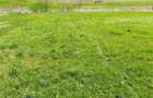 Teren l 2900 MP l Corusu | View superb - 2
