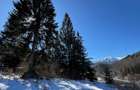 Teren PREDEAL CLABUCET 1664m2 cu asfalt, utilitati si VIEW - 8