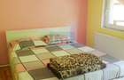 Casa de vacanta perfecta pe malul Cernei  - 10