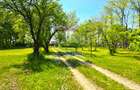 Proprietate unica, deschidere generoasa directa la lacul Snagov - 35