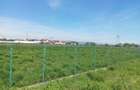 Teren intravilan, Stupini, str. Baciului, deschidere 46ml,parcelabil,îngrădit  - 3