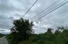 REL4001302 Teren sector 1 Centura DN1 Padurea Baneasa - 3