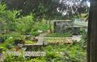 INVESTITIE CIARDA ROSIE- CASA INDIVIDUALA  - TEREN GENEROS - ZONA EXCELENTA - 4