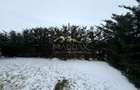 Apartament  Smart tip duplex *155mp* / *111mp* gradina / Aviatiei - 34