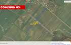 Teren agricol 12.500 mp | Deschidere directă DN61 | Dublu acces | Corbii Mari - 2