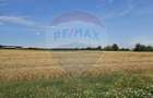 Vanzare Teren Intravilan Buftea, 750mp, str. Ulmului, Pista Biciclete - 2