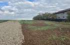 Piscu, Ciolpani, teren intravilan 1000 mp, str. Campului,aproape Muzeu, 29 eur - 5
