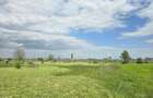 Teren intravilan arabil 16591 mp E85 Garoafa, Bizighești, Vrancea - 5