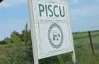 Teren Piscu intravilan,12500 mp, 15 euro mp, 30 m deschidere, toate utilitatile - 1