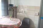 Apartament 2 camere complet mobilat parter 50 mp utili zona Terezian - 6