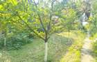 Apartament la casa- Zona Elisabetin Timisoara - 9