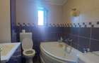 Apartamnet 3 camere  cu curte - 16