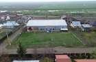 Teren agricol 13,1 ha + Hală 700 mp + Utilaje Agricole - Piscu, Galati - 26