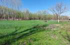 Oaza de liniste cu izvor natural si padurice - 3800 mp intravilan in Mastacani - 5