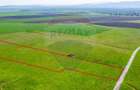 5 hectare teren agricol cu front la șosea, zona Sântana - 2