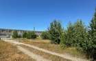 Teren industrial 14.740 mp, de vanzare, autorizatie constr., str Chimiei, Bacau - 10