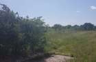 Teren intravilan 2500 mp , deschidere 24 m - 4