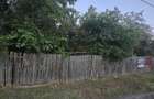 Casă cu 7.769 mp teren și pădure | Budieni | 53.000€ - 2