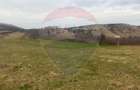Teren generos 3400 mp în Pâclișa – Criseni zona linistita - 4